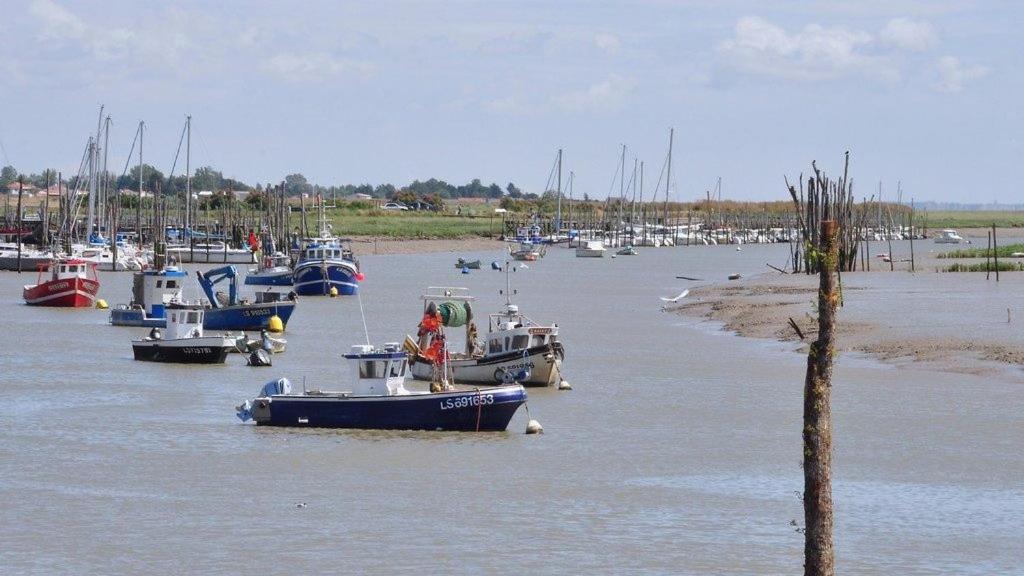 Maison Sud Vendee LʼAiguillon-sur-Mer Eksteriør billede